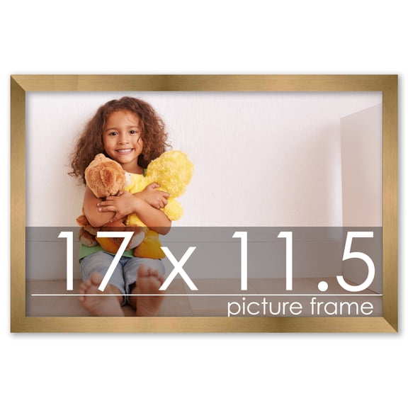 17x11.5 Gold Bronze Wood Picture Frame - UV Acrylic, Foam Board Backing, Hanging Hardware