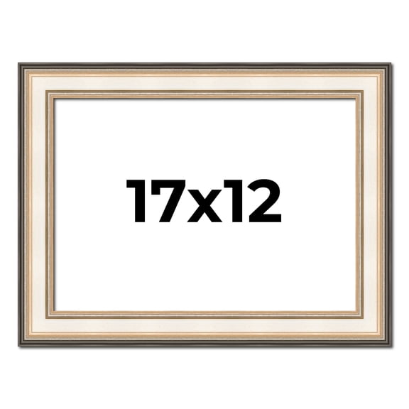 17x12 Frame Gold Silver Plein Aire 2" Inch Wide Moulding Solid Wood Picture Frame | Modena