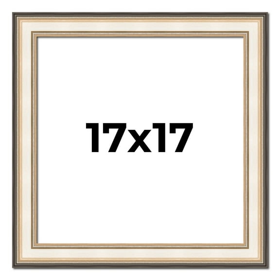 17x17 Frame Gold Silver Plein Aire 2" Inch Wide Moulding Solid Wood Picture Frame | Modena
