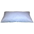 thumbnail image 1 of 17x21 Inch Rectangular Throw Pillow Insert Form, 1 of 2
