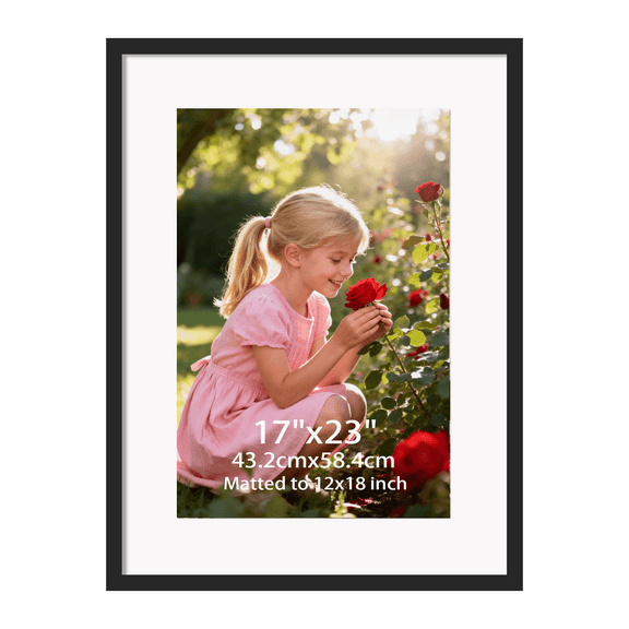 17x23 Frame Photo Poster Frame for Wall Mounted, Black