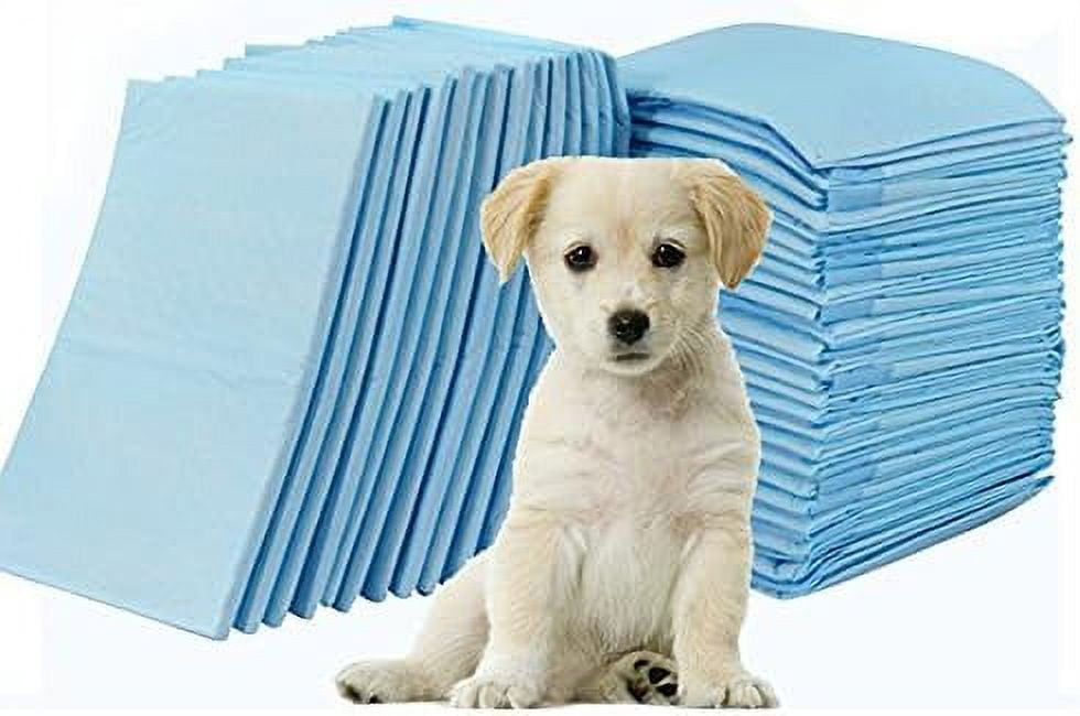17x24 300 Cheap Lightweight Puppy House Breaking, Training, Pee Pads/Underpads for The Mini and Teacup Breeds/Incontinence Pads (17x24-300ct)