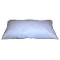 thumbnail image 1 of 17x25 Inch Rectangular Throw Pillow Insert Form, 1 of 2