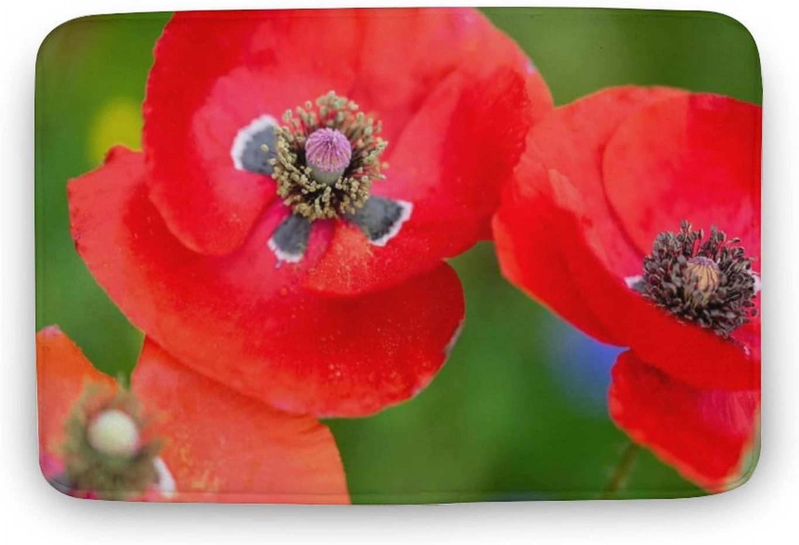 17x30 inch Red Line of Poppy Petals Door mat Mats for Indoor
