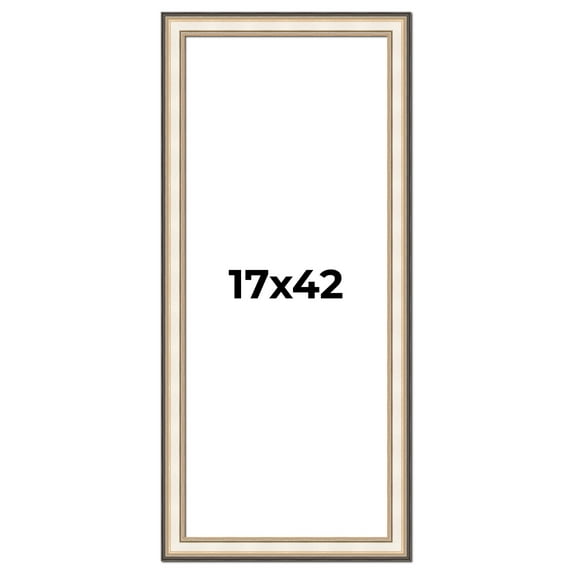 17x42 Frame Gold Silver Plein Aire 2" Inch Wide Moulding Solid Wood Picture Frame | Modena