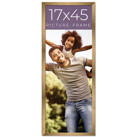 17x45 Frame Gold Bronze Solid Wood Picture Frame Width 0.75 Inches | Interior Frame Depth 0.5