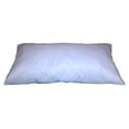thumbnail image 1 of 17x57 Inch Rectangular Throw Pillow Insert Form, 1 of 2