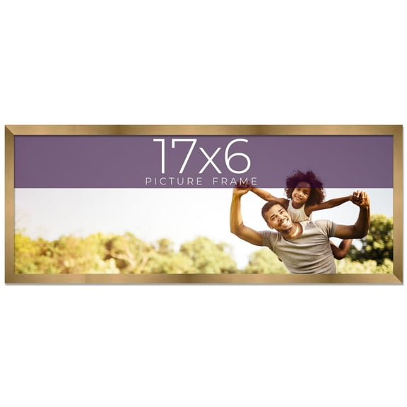 17x6 Frame Gold Bronze Solid Wood Picture Frame Width 0.75 Inches | Interior Frame Depth 0.5 Inches