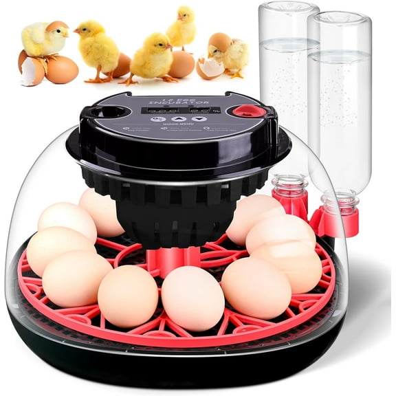 18/12 Egg Incubator with Temperature and Humidity Control, Automatic Egg Turner, Egg Candler, External Water Bottle Refill, Air Vent, 360° Clear View, Hatching Chicken Duck Quail Bird