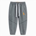 thumbnail image 1 of 18-24 Months Toddler Boys Pants Fleece Lined Thick Straight Leg Elastic Waist Cozy Sweatpants with Side Pockets Fall Winter Casual Wear for Boys 12 18 Months 2T 3T 4T 5T 6T,Dark Gray, 1 of 4