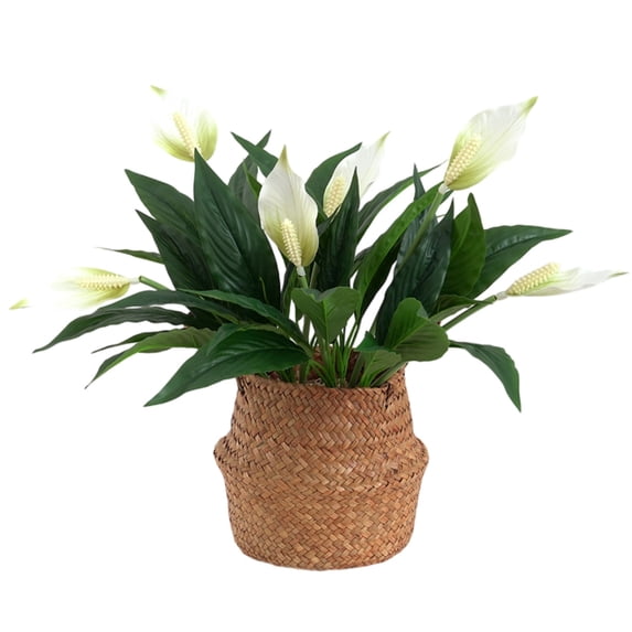 18.5" Artificial Spathiphyllum Peace Lily - Plastic & Fabric Anthurium Plant for Wedding, Home & Garden Decoration