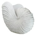 thumbnail image 1 of 18.5"L White Nautical Marine Ocean Giant Nautilus Sea Shell Decorative Sculpture, 1 of 9