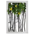 thumbnail image 1 of Northlight 18.5" White Birch Branch Lemon Tree Rustic Wooden Frame Decoration, 1 of 3
