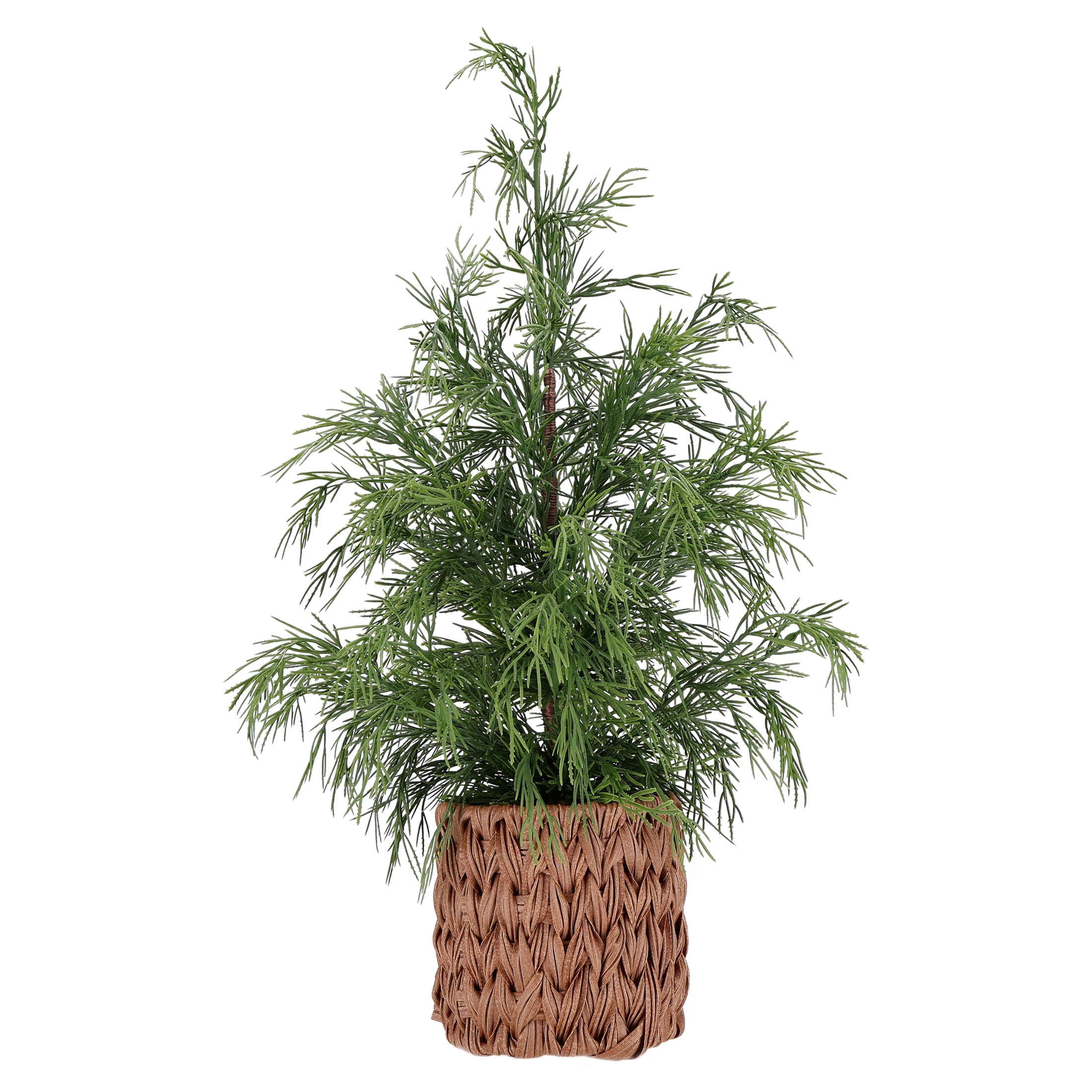 18 CYPRESS POT TRE: A Straightforward Review