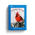 thumbnail image 1 of 18 Count Inspirational Christmas Boxed Cards, Black & White Cardinal, Scripture by DaySpring, 1 of 5