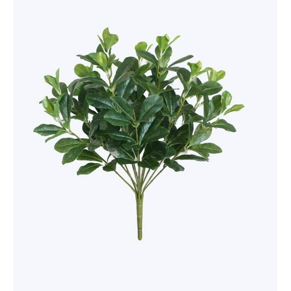 18" Decorative Artificial Green Two Tone Polyscias Floral Bush