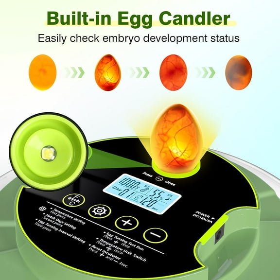 18- Digital Incubator with Auto Turn Function & Humidity Display for Chicken & Quail Eggs