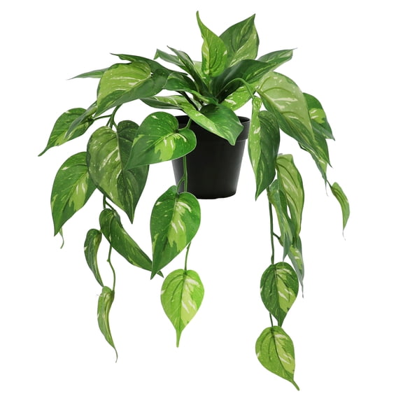 18" Dripping Evergreen Leaves Potted Plant by Ashland  - Spring Floral for Crafting and Home Decor