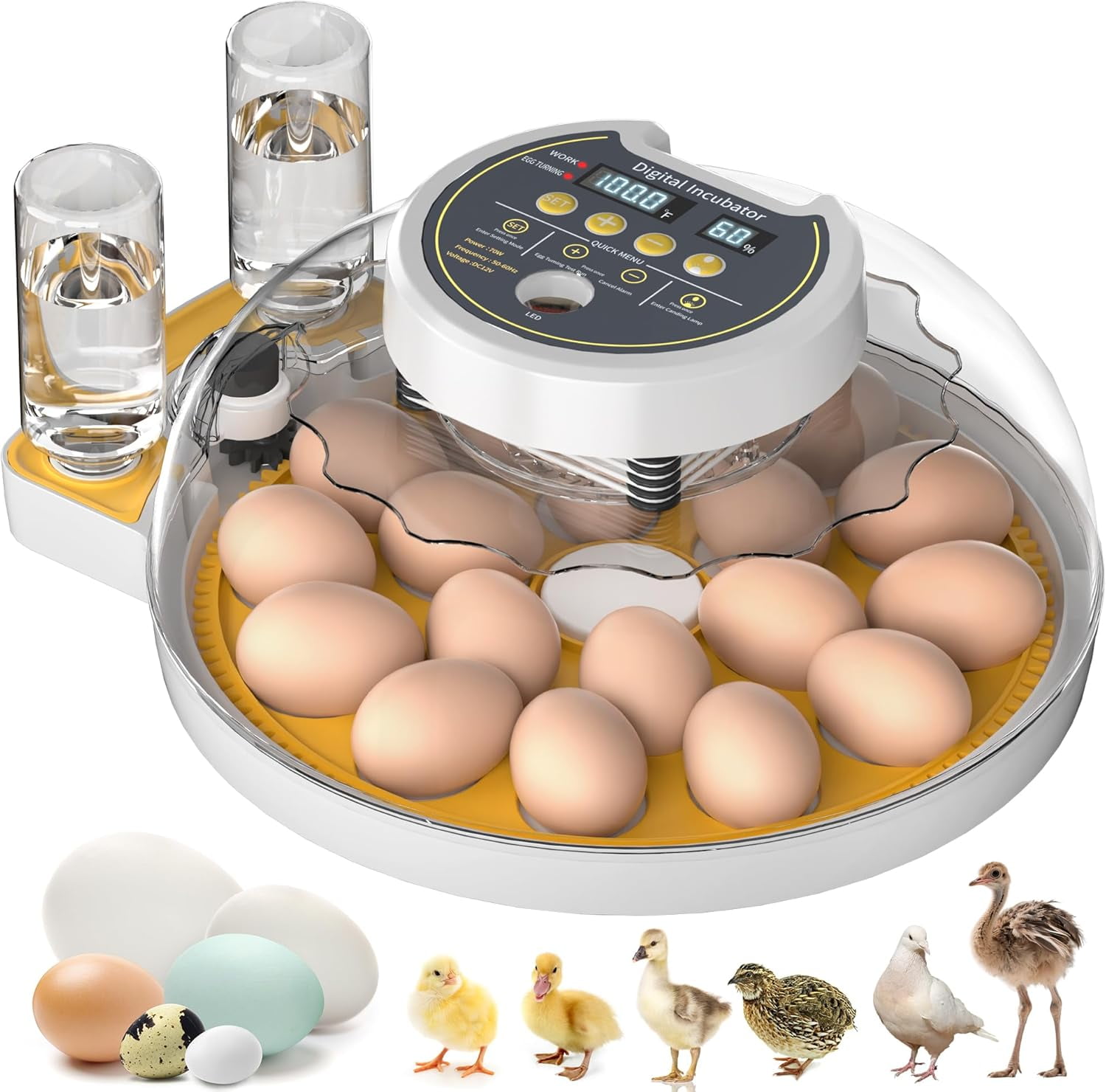 18 Egg Incubator with Automatic Egg Turning and Humidity Control, Egg Incubators for Hatching Eggs Chicken Ducks Goose Quail Pigeon Turkey, Automatic Incubator for Home Classroom Lab Farm