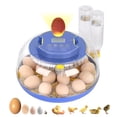 thumbnail image 1 of 18 Egg Incubator, for Hatching Eggs with Automatic Egg Turner, Temperature & Humidity Control, Built-in Egg Candler, Ventilation, Incubation Days Display, for Chicken, Duck, Goose and Quail Eggs, 1 of 9