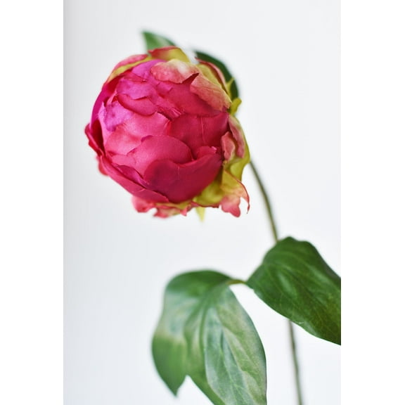 18" Faux Peony Bud Stem Fuchsia