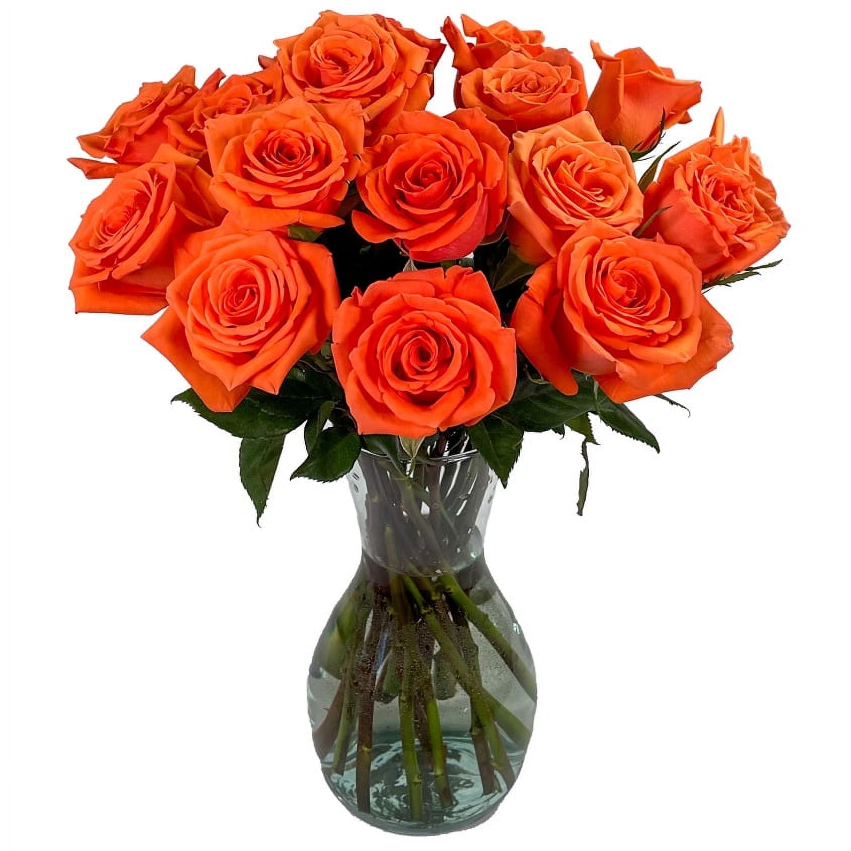 Arabella Bouquets 18 Fresh Cut Orange Roses with Elegant Hand-Blown Glass Vase, Fresh-Cut Flowers