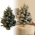 thumbnail image 1 of 18 Inch Artificial Mini Christmas Tree with Warm White Lights Battery Operated, Thick Snow Flocked Tabletop Christmas Tree with Snowy Branches Base for Home Indoor Xmas Decor, 1 of 6