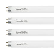 18 Inch F15T8/CW Fluorescent Light Bulbs, 4100K Cool White, T8 15 Watts Replacement Tube, G13 Base - 4 Pack