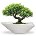 thumbnail image 1 of 18 Inch White-Black Wide Ceramic Planter - stillaflora Japanese Rectangle Indoor Pot with Saucer for Bonsai, Orchid,Ficus, Money Tree , Decorative Flower Pot for Home Decor, 1 of 8