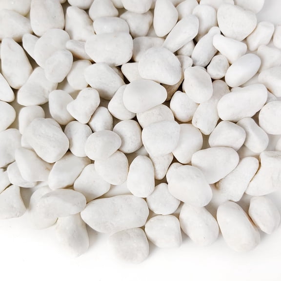 18 LB White Gravels Small Terrarium Rocks Stones for Bamboo,Cactus,Vase Fillers,Succulents Plants,Landscaping,Aquarium,Zen Garden,1 Inch