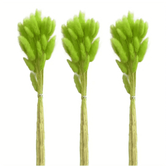 18’’ Natural Bunny Tails Dried Flowers, 100 Pcs Dried Lagurus Ovatus, Dried Foxtail Grass for Vase Wedding Decorations Supplies - Valentine's Day Decoration