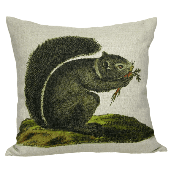 Golden Hill Studio 18" Orange and Black Squirrel Enjoying His Carrot Throw Pillow