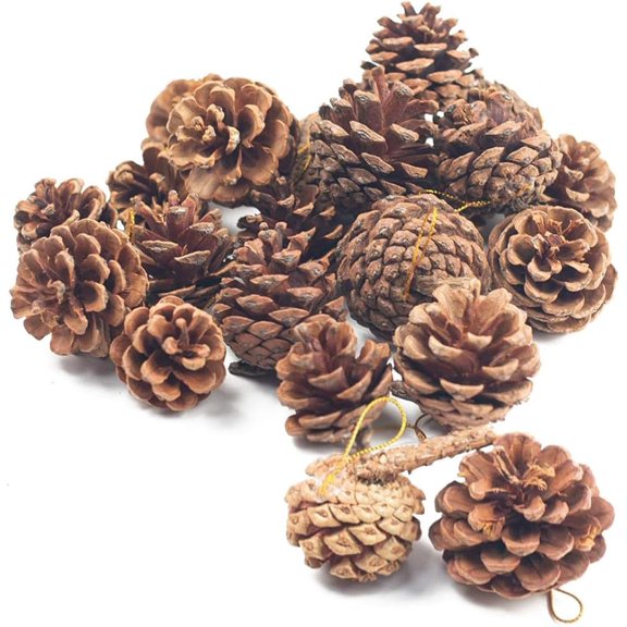 18 PCS Hanging Natural Pine Cones, Rustic Pinecones Crafts with String Fall Garland Decor Christmas Tree Ornaments Winter Vase Filler