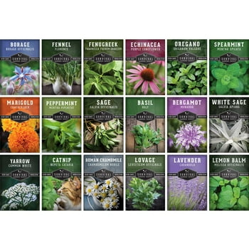 18 Pack Medicinal Herb Seed Collection - Non-GMO Heirloom Full Sun Perennial & Annual