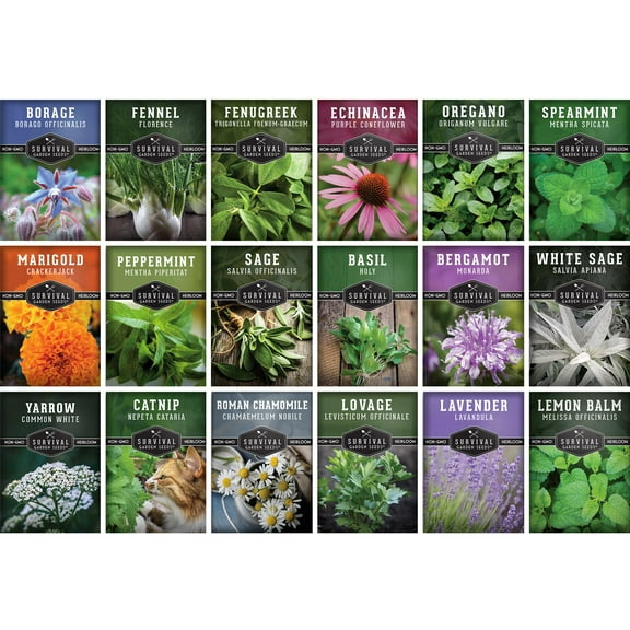 18 Pack Medicinal Herb Seed Collection - Non-GMO Heirloom Full Sun Perennial & Annual