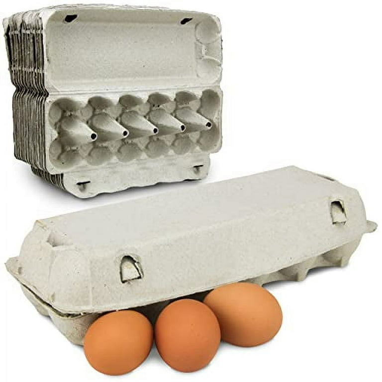 Vintage Duck Egg Cartons 12 Pack, Blank Natural Pulp One Dozen