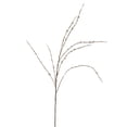 thumbnail image 1 of 18 Pack: Pussy Willow Stem by Ashland, 1 of 3