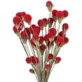 18Piece Red Craspedia Dried Flower Bouquet, Billy Balls, for Farmhouse