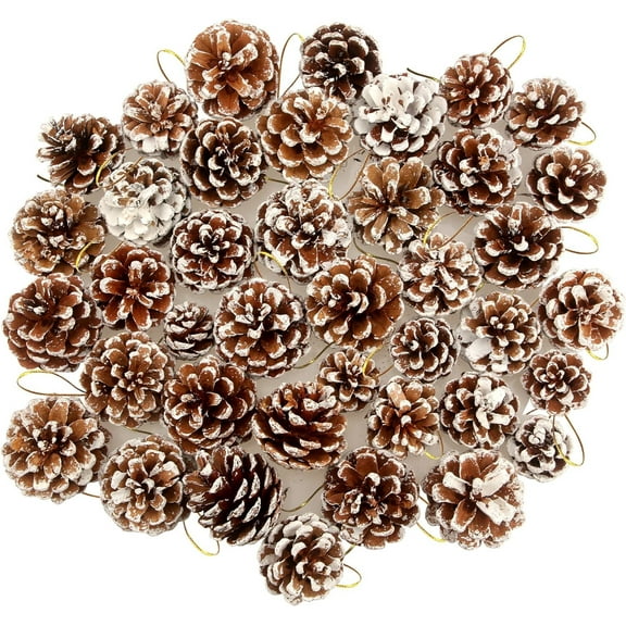 18 Pieces Christmas Pine Cones,Happon Mini Pine Cones for Craft DIY Rustic Pine Cones for Wreaths & Garlands Christmas Decorations Christmas Party Ornament