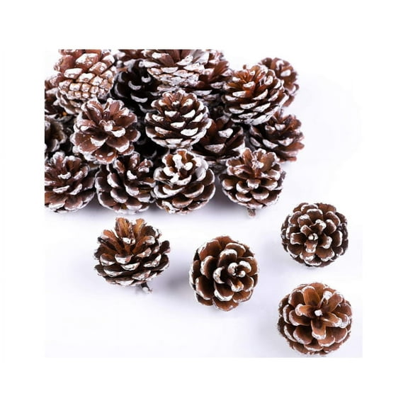 18 Pieces Christmas Pine Cones Holiday Pinecones Xmas White Pine Cones Fall Thanksgiving Christmas Party Decoration for Xmas Tree Gift Tag Party Decoration, DIY Crafts,Christmas Decorations