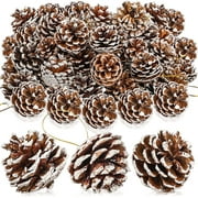 18 Pieces Pine Cones for Christmas Tree White Christmas Pine Cones Ornaments Pine Cones Decorations Frosted Mini Pine Cones Xmas Pinecones with String Pendant Crafts for Farmhouse Winter Party