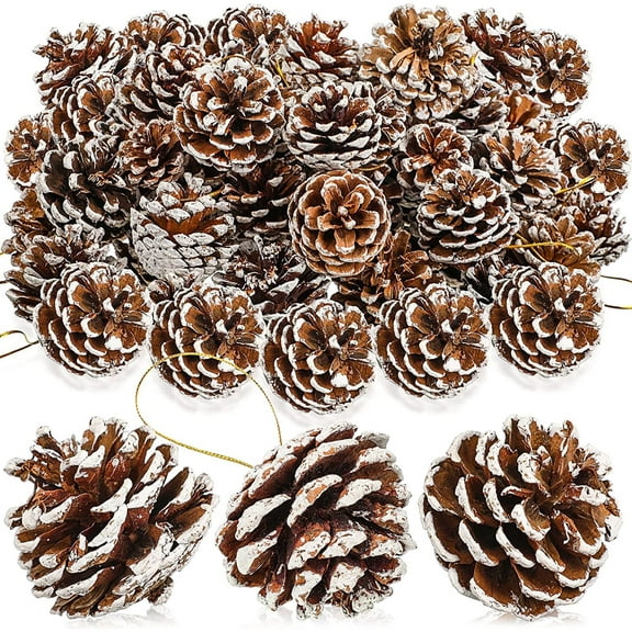 18 Pieces Pine Cones for Christmas Tree White Christmas Pine Cones Ornaments Pine Cones Decorations Frosted Mini Pine Cones Xmas Pinecones with String Pendant Crafts for Farmhouse Winter Party