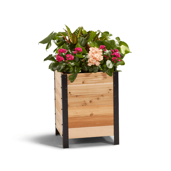 Cedar Planters 18" x 18" Elevated Garden Bed - 100% Canadian Western Red Cedar Raised Planter Box, 24" Tall