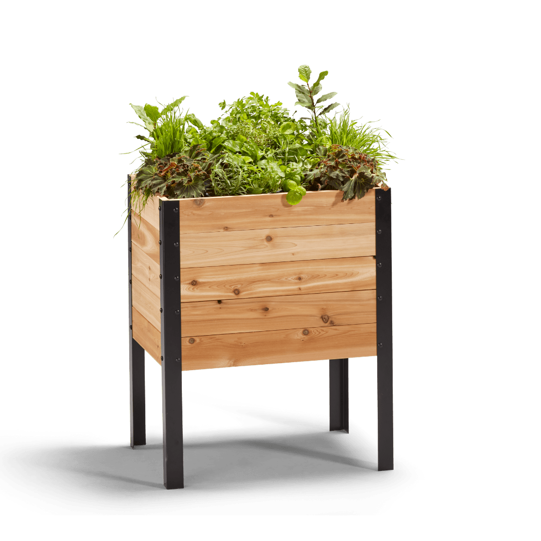 Cedar Planters 18" x 24" Outdoor Raised Garden Bed - 100% Canadian Western Red Cedar Elevated Planter Kit, 30" Tall