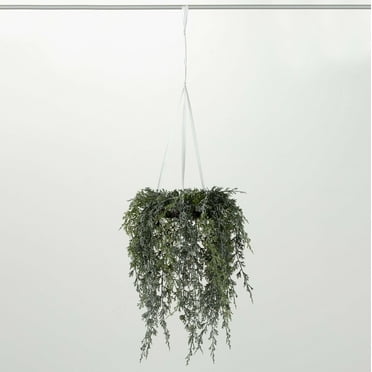 18" Sullivans Artificial Draping Cypress Hanging Christmas Wreath, Green-White