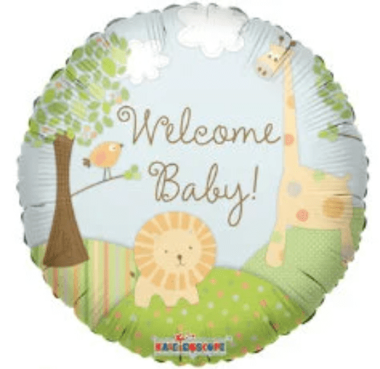 Safari Dollar Tree Boy Baby Shower 18