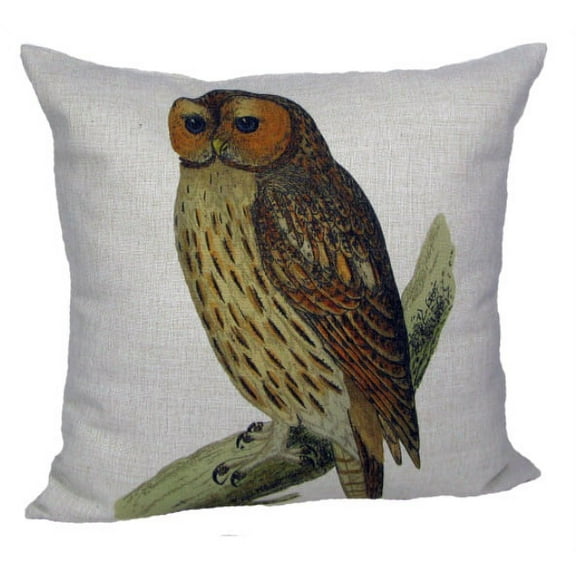 Golden Hill Studio 18" White and Brown Owl Square Throw Pillow with Insert
