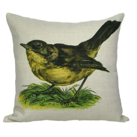 Golden Hill Studio 18" White and Green Wren Bird Throw Pillow with Insert