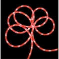 thumbnail image 1 of 18 ft. Strawberry Pink Indoor - Outdoor Christmas Rope Lights, 1 of 1