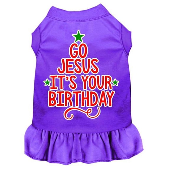 18 in. Go Jesus Screen Print Dog Dress - Purple, 2XL